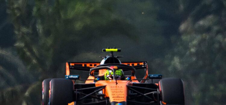 Lando Norris